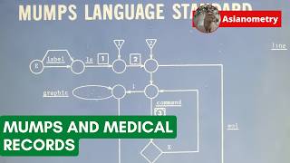 The Curious Database Powering America's Hospitals