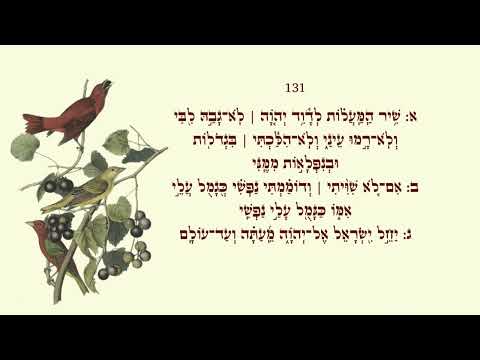 Psalm 131 sung by Bob, Psalm 131 Sung by Bob, Bob's Interpretation of Psalm 131, Psalm 131 Music,