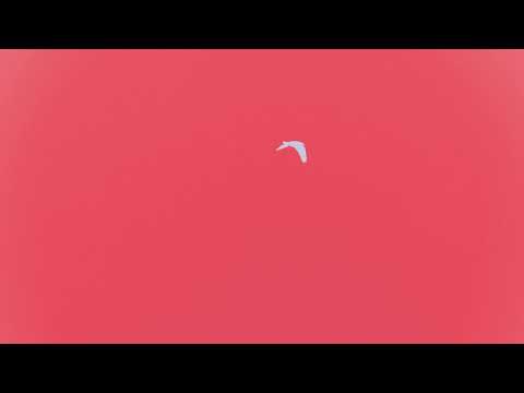 SHAED - Colorful with Kat Cunning (Official Audio)