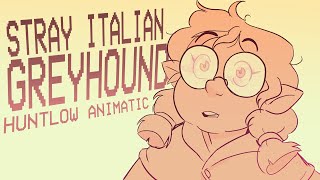 Stray Italian Greyhound | TOH Huntlow Animatic