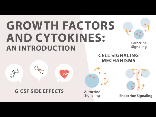 הגיית וידאו של cytokine בשנת אנגלית