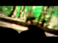 Dream Girl Album HD