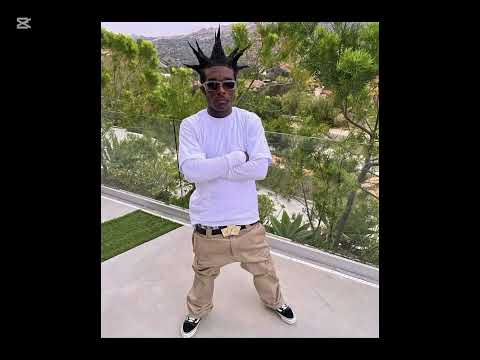 Lil uzi vert die today