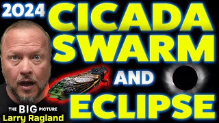 A Trillion Cicadas Emerge & Solar Eclipse (@ SAME TIME)!