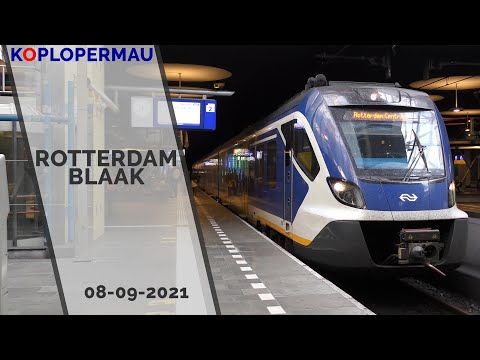 Treinen op station Rotterdam Blaak - 8 september 2021