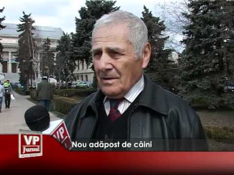 Nou adăpost de câini