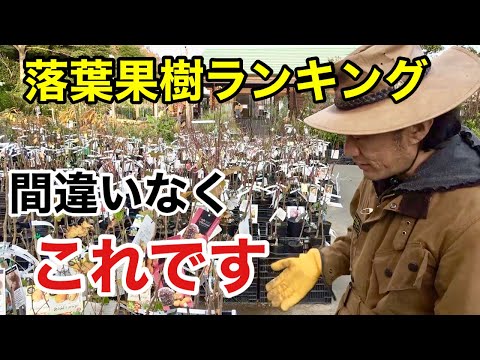果樹に最適なマルチは何ですか?土壌に栄養を与え、豊かな収穫をもたらすための6つの最良のオプションは次のとおりです  庭園