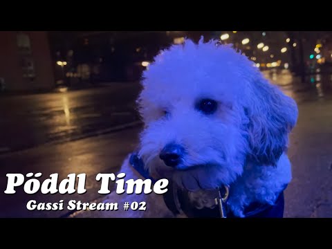 Pöddl Time! - Gassi Stream mit Mon #2