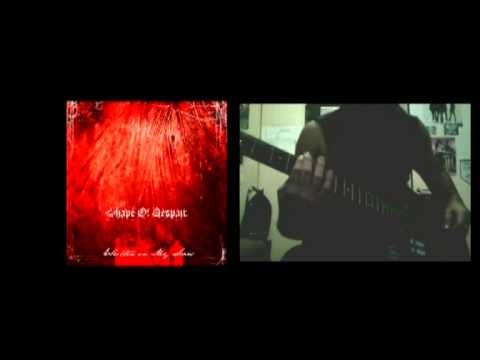 Shape of Despair - Written In My Scars (Guitar Cover)