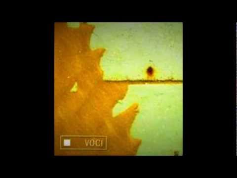 VOCI E SILENZI..STEFANO CALVANO DRUMS PERCUSSIONS