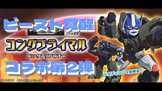 【メダロットS】ビースト覚醒公開記念！”コングプライマル”実装！！【ガチャ動画】