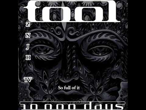 Tool - The Pot (Lyrics)