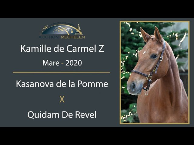 Kamille De Carmel Z
