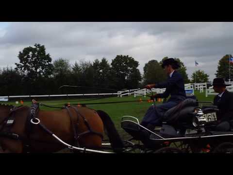Fahrturnier Ostenfelde 19.8.2017