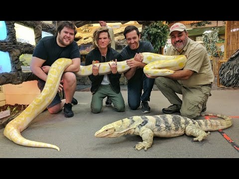 Would You Want to Die Here?