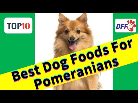 Top10 Best Dog Foods For Pomeranians(Reviews)✅Buying...