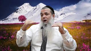 אמונה קצר: אל תלחיץ את עצמך - הרב יגאל כהן HD