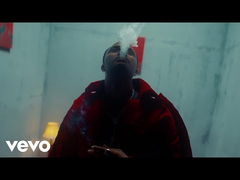 Fido - Dollarpor (Visualizer)