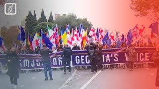 თავისუფლების მარში -„კი ევროპას! არა რუსულ კანონს!"