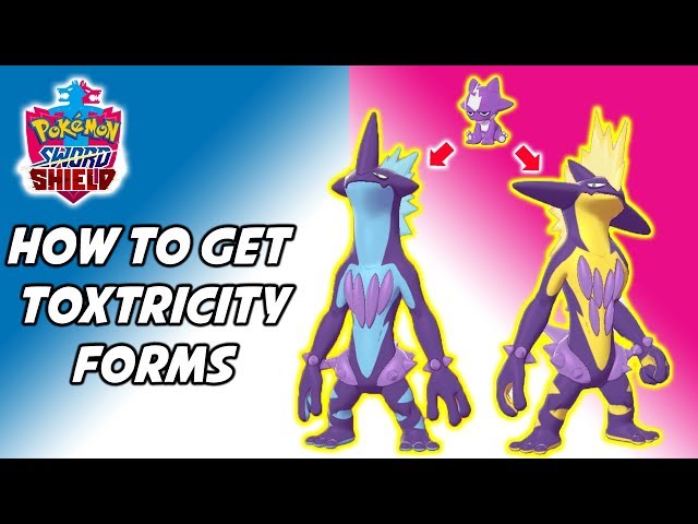 How To Get Each Toxtricity Form Pokemon Sword And Shield Toxel Evolution Method Youtuberandom