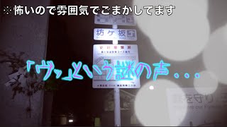 【納涼】東海オンエアホラー集1【心霊?】