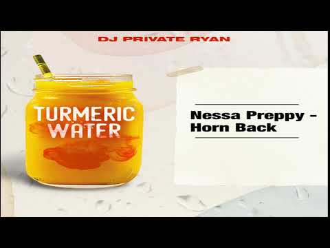 Horn Back - DJ Private Ryan, Nessa Preppy (2021
