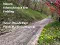 W.A.Mozart: Sehnsucht nach dem Frühling／モーツ ...