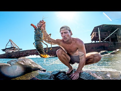 2 DAYS Eating What We Catch (Shipwreck Island)