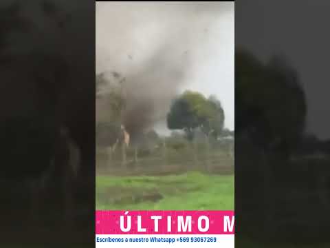 Impactante paso de tornado en Bulnes: Arrancó árboles y destruyó viviendas