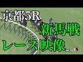6/1 京都5R 新馬戦 レース映像