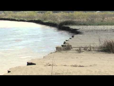 Vlore, Selenica mbetet pa uje