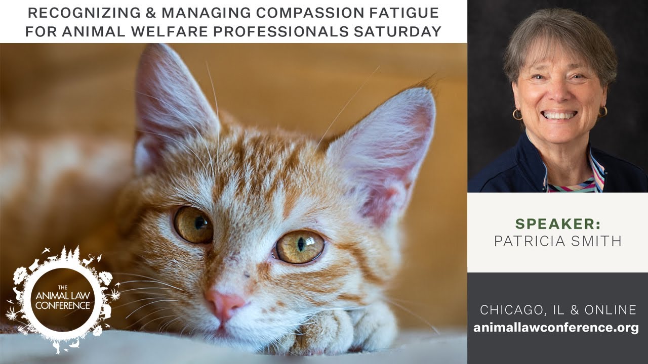 Recognizing & Managing Compassion Fatigue for Animal Welfare Professionals