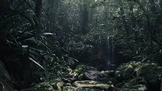 Download lagu Midnight Forest Sounds 2 hours | relaxation | yoga | insomnia | subconscious therapy mp3