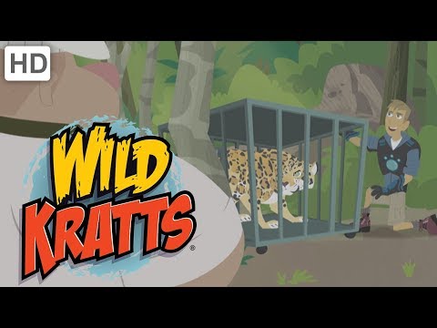 Wild Kratts - Stop Those Villains! (15+ Minutes!)