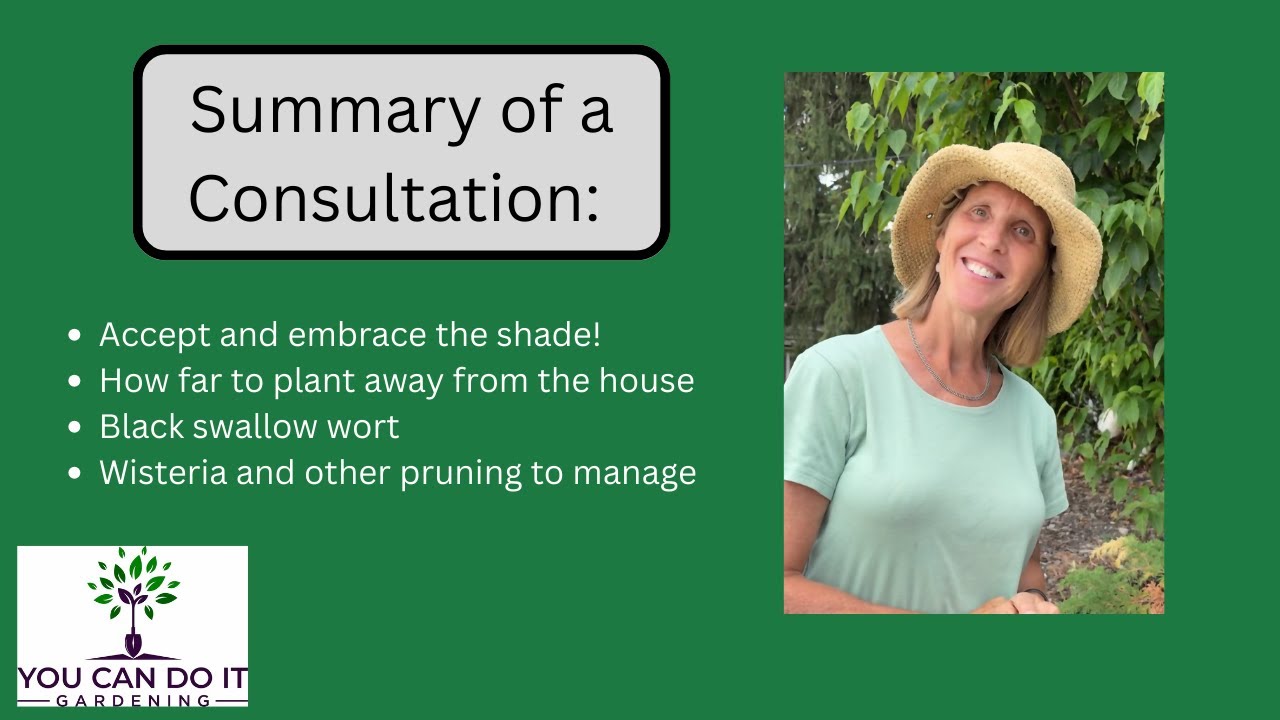 Summary Of A Consultation