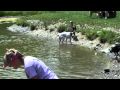 Leda LEAPS Dogs Swim MP4