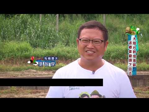 The 1st 100 Young Farmer – Zhang Zhi-jie, Miaoli