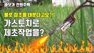 가스토치로 제초작업이 될까요? 불로 잡초를 태우는 작업을 과연 해도 될까요?
