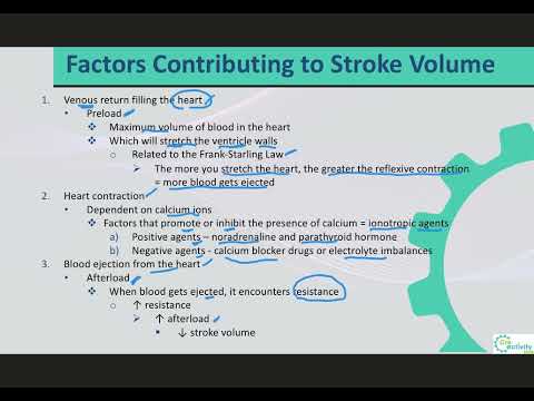 4. A & P II LO4 Cardiac Output