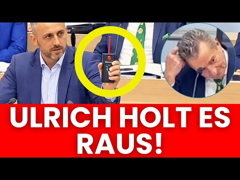 ULRICH DRÜCKT PLÖTZLICH DEN ZÜNDER!? 🚨 ALLE DIREKT PANIK! 🚨 AFD VIDEO GEHT GERADE ÜBERALL VIRAL