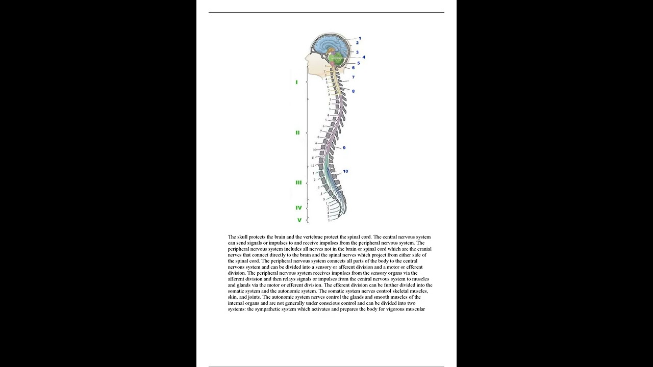 complete solutions guide Portage Learning A&P 2 102All of portage modules BIOD 152