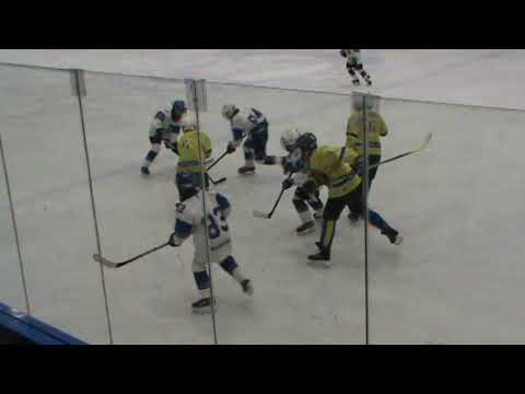 26 1 2020   Warriors vs  Břeclav 02