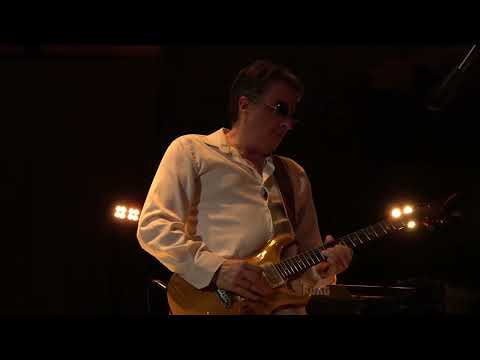 Flor D'Luna MOONFLOWER LIVE