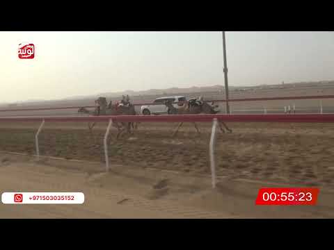  ش 21 (شاهين) لـ علي راشد بن مفتاح الشامسي 2:08 ، شارة الصندوق 2026/07/30 فطامين الروضة