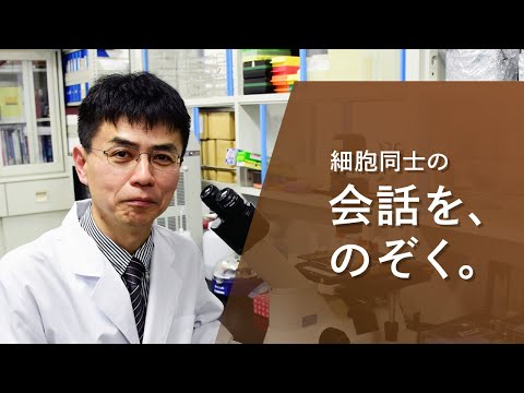 法学科 【アイガクにマナベ！】愛知学院大学　薬学部医療薬学科　古野忠秀　教授