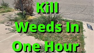 How To Kill Weeds In Landscape