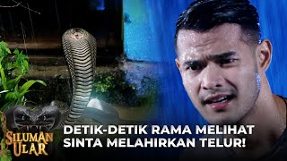Download lagu HISTERIS KESAKITAN! Ternyata Sinta Melahirkan Sebuah Telur | SILUMAN ULAR mp3