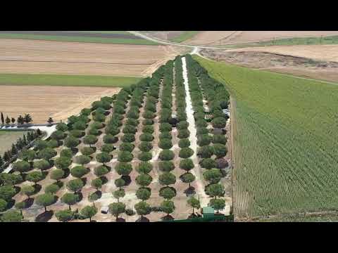 YOUTUBE KANALIMIZ thumbnail