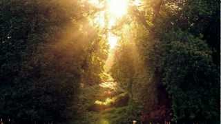 Larry Norman - I Think He&#39;s Hiding - [Randy Newman Cover]