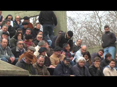 6º Remate anual de Cabaña Los Pamperos